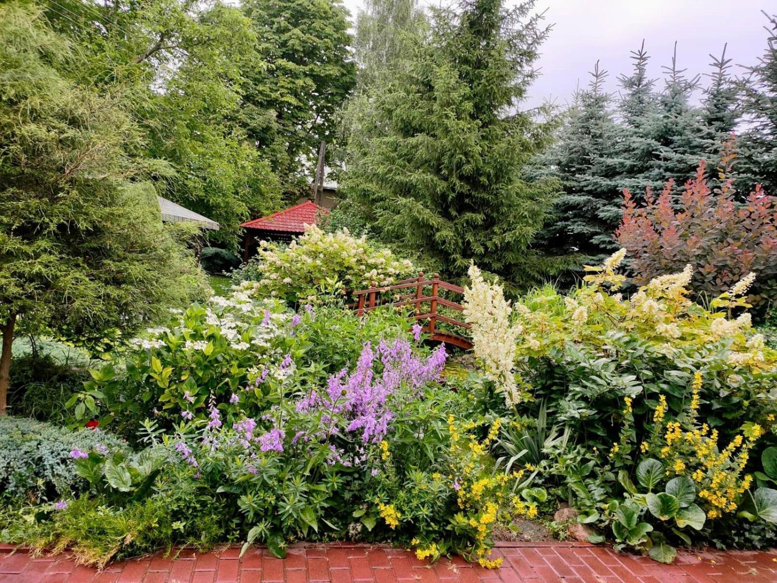 Gospodarstwo Agroturystyczne Jagoda Błonie Exterior foto