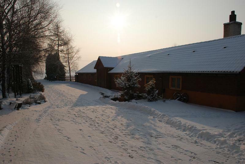 Gospodarstwo Agroturystyczne Jagoda Błonie Exterior foto